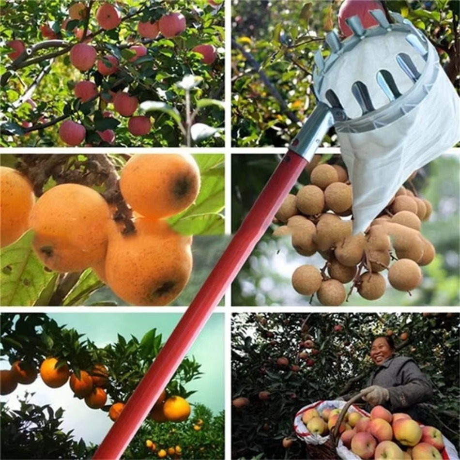 Farming Tools For Agriculture - Многоцелевой телескопический сборщик фруктов из оцинкованного