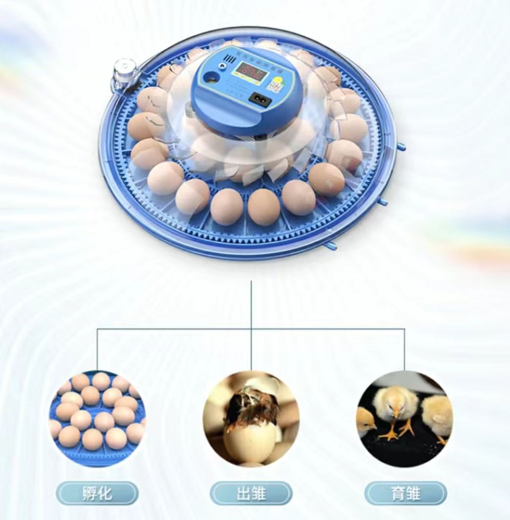 Poultry Incubator - Инкубатор для куриных яиц на 20/24/36/56/96/112