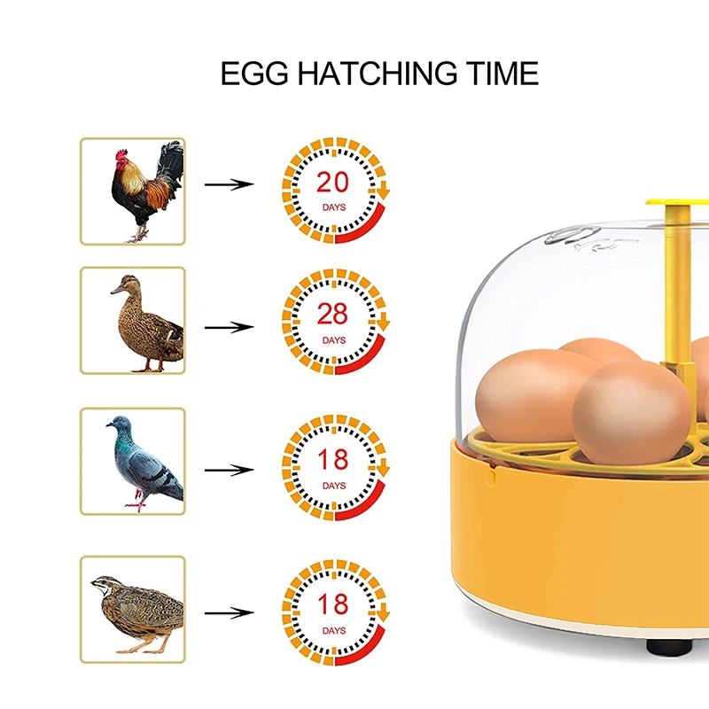 Инкубатор для выведения цыплят – обзор и цена Poultry Incubator