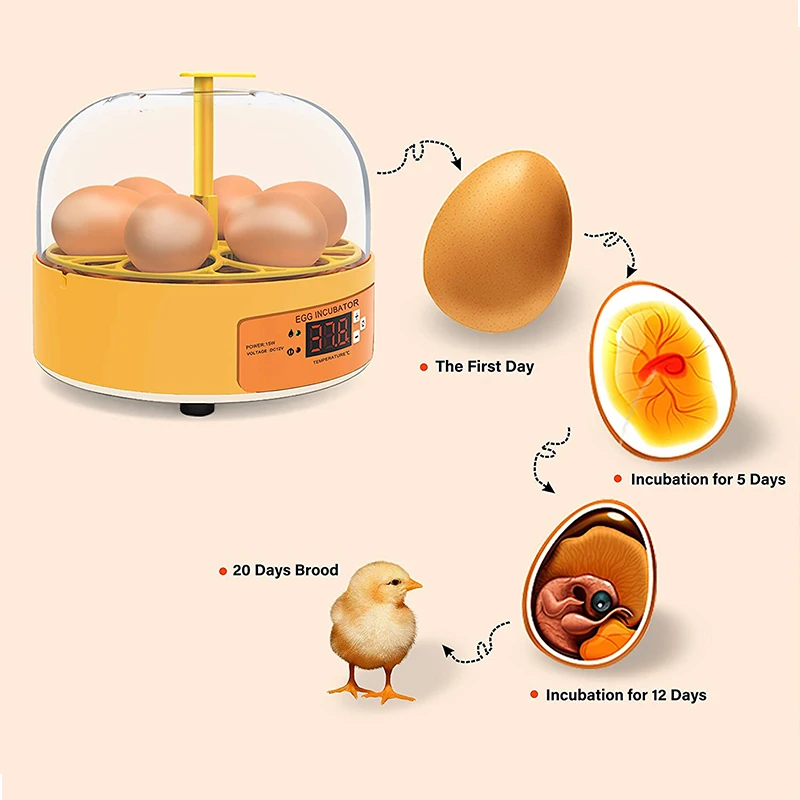 Инкубатор для выведения цыплят – обзор и цена Poultry Incubator