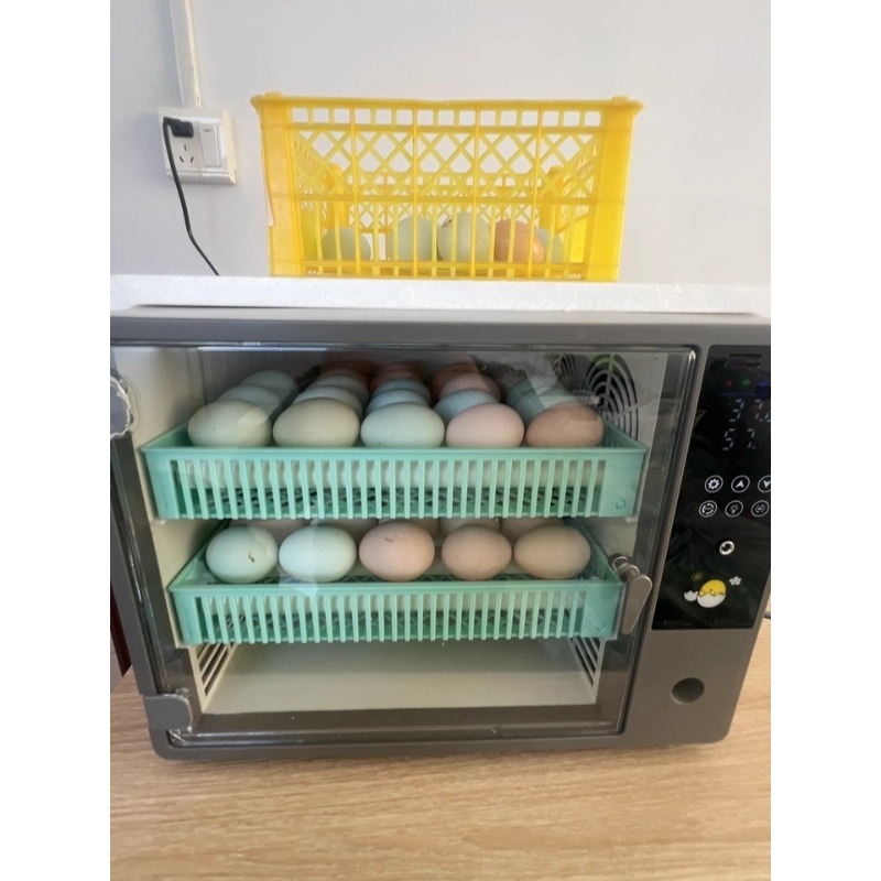 Прямые поставки с завода: полн – обзор и цена Poultry Incubator