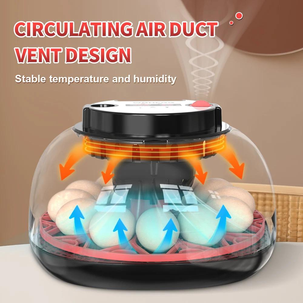 Инкубатор на 12 яиц с автомати – обзор и цена Poultry Incubator