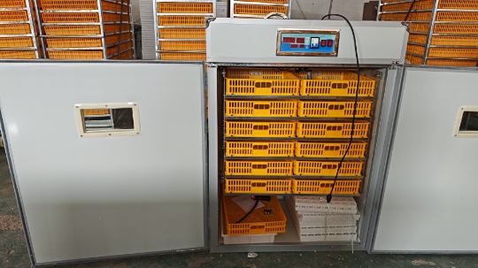 Большой инкубатор на 1000 яиц, – обзор и цена Poultry Incubator