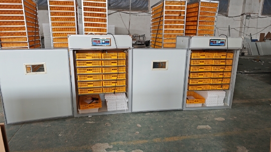 Большой инкубатор на 1000 яиц, – обзор и цена Poultry Incubator