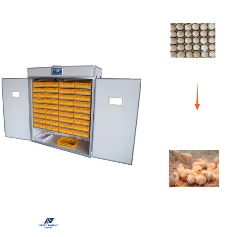 Инкубатор для яиц птицы, солне – обзор и цена Poultry Incubator