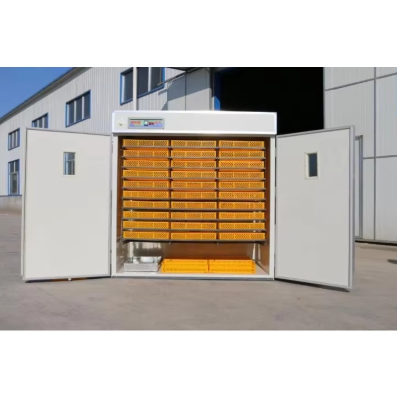 Инкубатор для яиц птицы, солне – обзор и цена Poultry Incubator