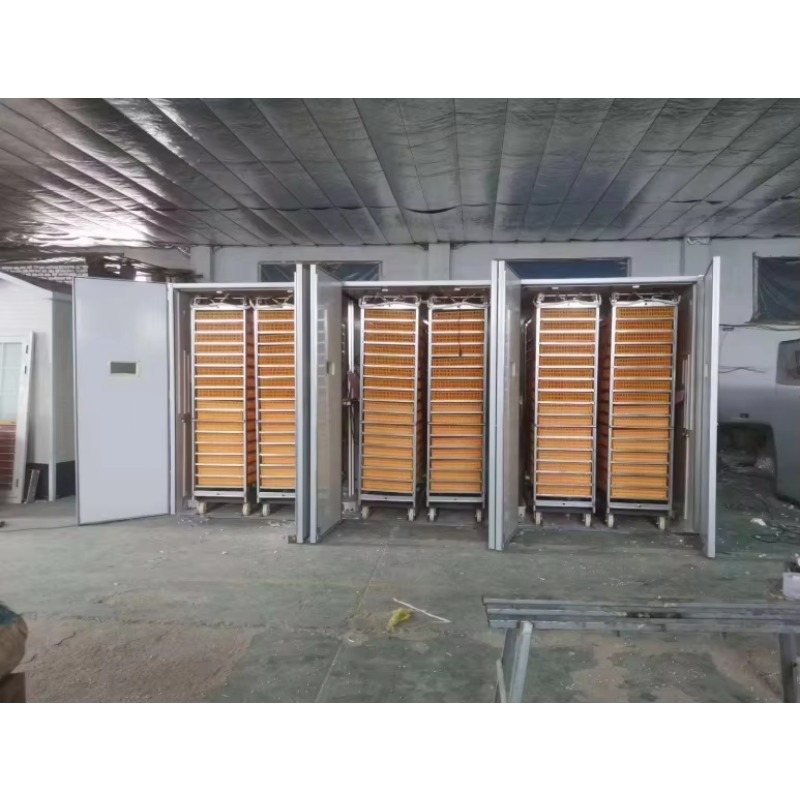 Инкубатор для яиц птицы, солне – обзор и цена Poultry Incubator
