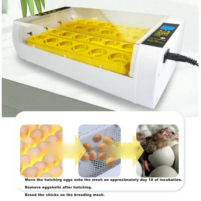 Полностью автоматический инкуб – обзор и цена Poultry Incubator