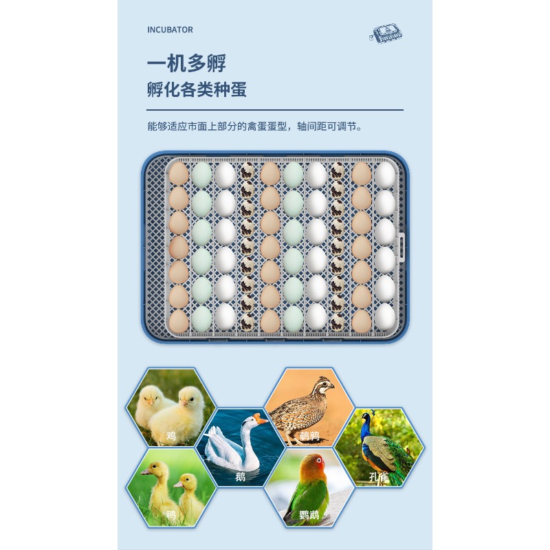 Автоматический инкубатор для я – обзор и цена Poultry Incubator