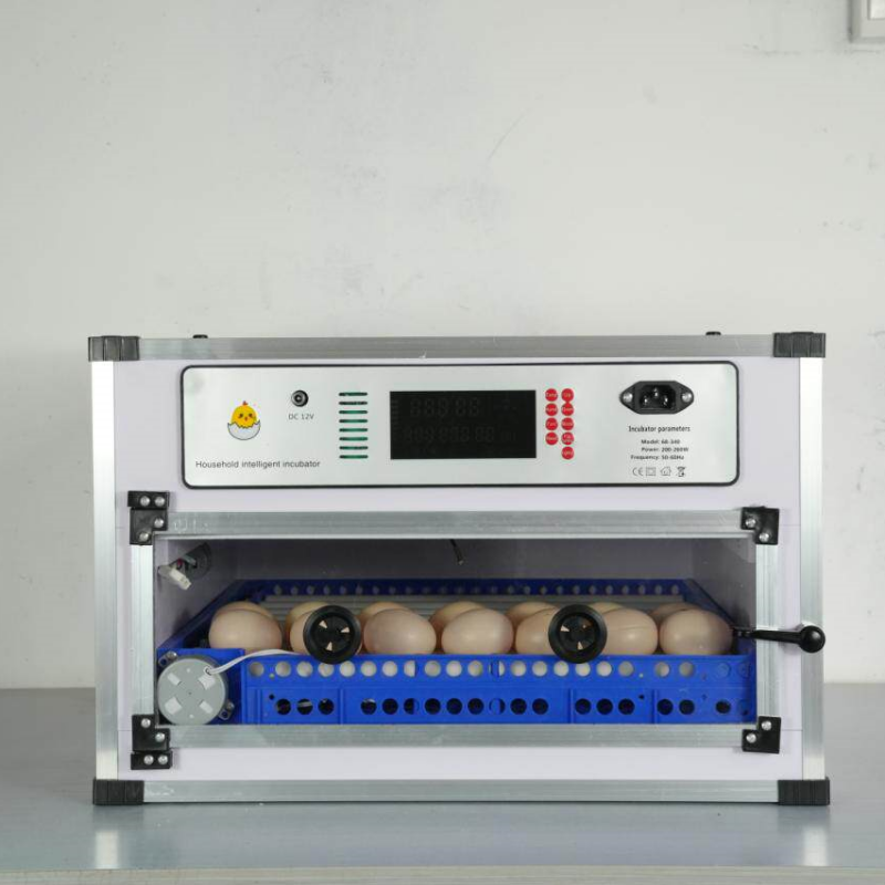 Инкубатор автоматический на 27 – обзор и цена Poultry Incubator