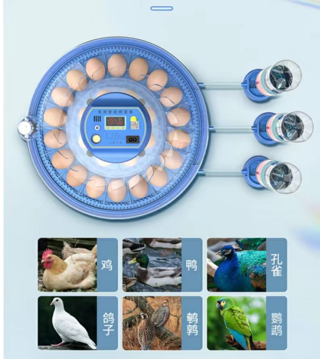 Инкубатор для куриных яиц на 2 – обзор и цена Poultry Incubator