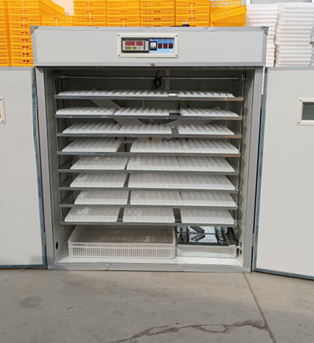 Инкубатор для куриных яиц на 2 – обзор и цена Poultry Incubator